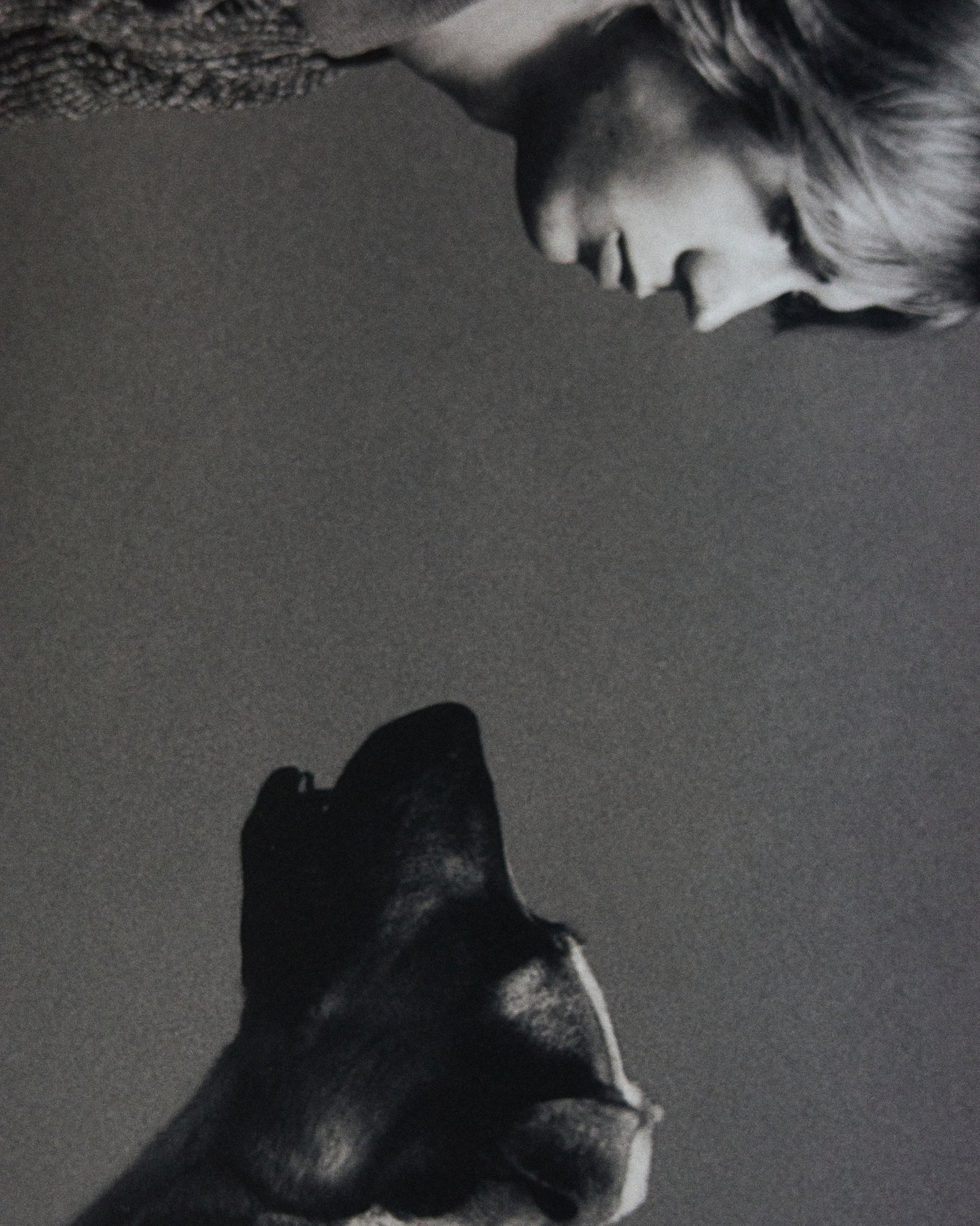 VIC AND THE DOG